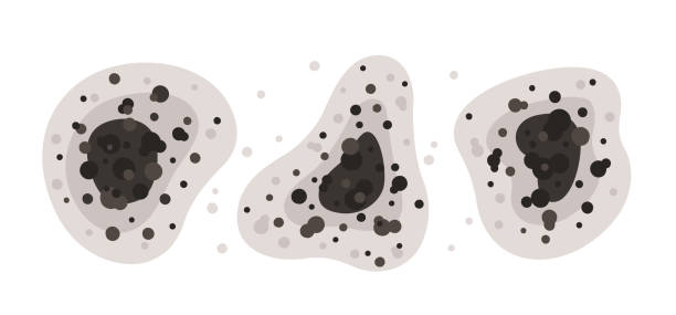 Best Air Quality Testing for Mold Spores  in Sonoma, CA