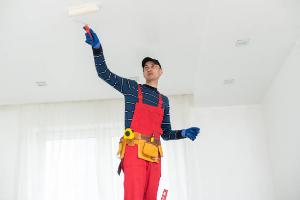 Best Residential Mold Inspection & Testing  in Sonoma, CA