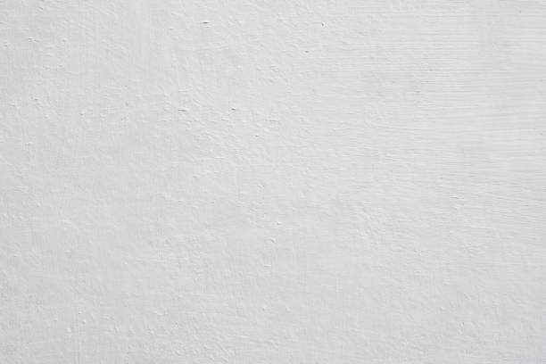 Best Mold Damage Restoration  in Sonoma, CA