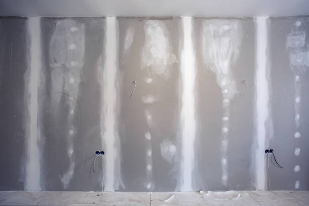 Best Attic Mold Removal  in Sonoma, CA