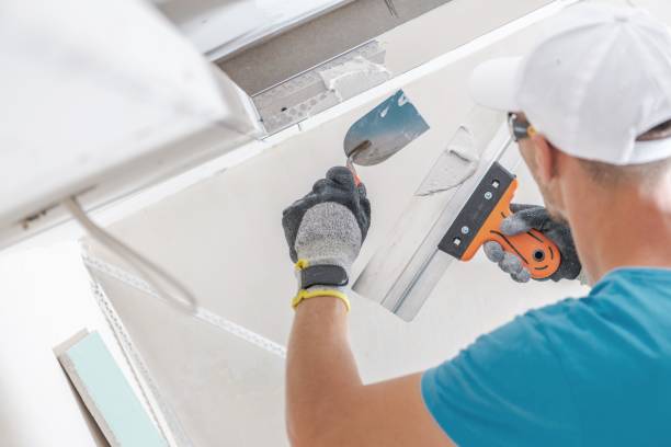 Best Crawl Space Mold Remediation  in Sonoma, CA